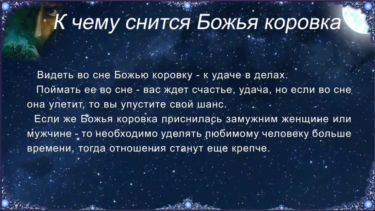 К чему снится божья коровка во сне: толкование по соннику для женщин и  мужчин :: Гороскоп :: Клео.ру