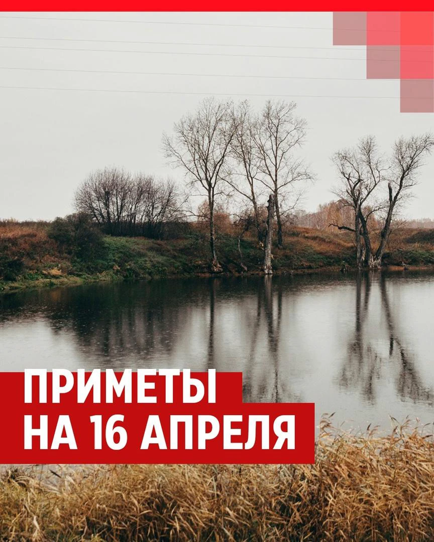 Народные приметы на 16 апреля в день Никиты Водопола: что можно и что  нельзя делать, приметы о погоде, запреты, Никита Исповедник - 15 апреля  2024 - 72.ру