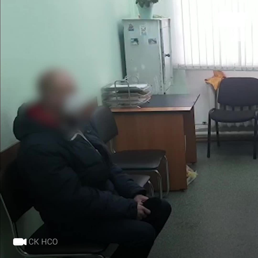 Видео допроса мужчины, который пнул пенсионерку в Бердске, 5 марта,  Новосибирск 2021 г - 5 марта 2021 - НГС.ру