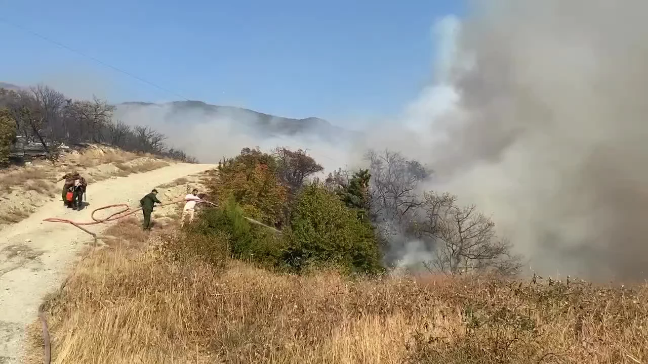 В Геленджике горит больше гектара леса: видео - 29 августа 2023 - 93.ру