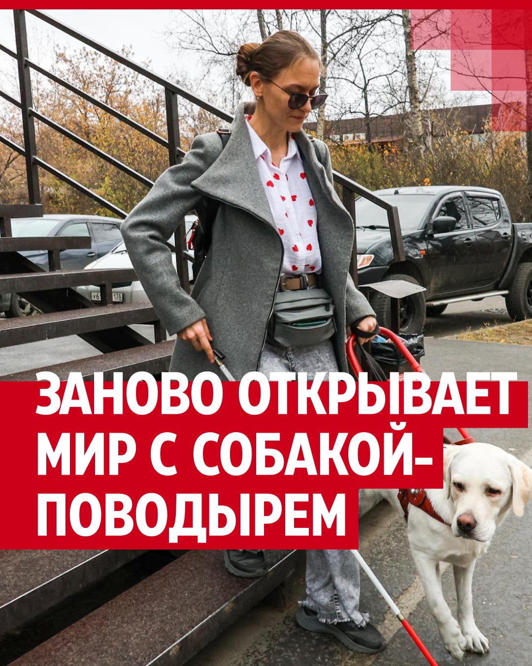 порно с животными Ослепшая девушка путешествует с собакой-поводырем: видео их истории дружбы  - 14 ноября 2024 | 72.ру