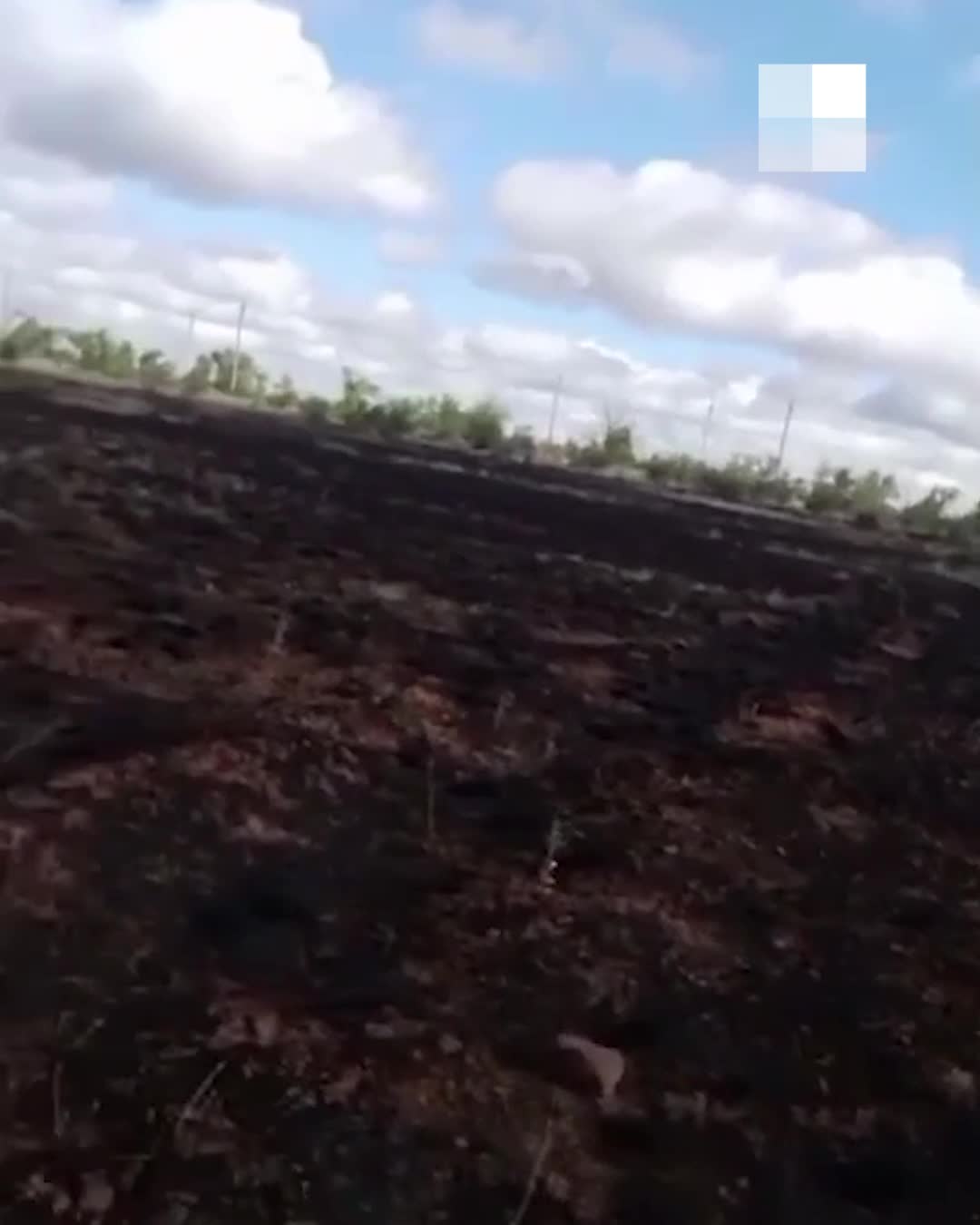 Под Волгоградом сняли на видео место предполагаемого падения сбитого БПЛА -  21 июня 2024 - V1.ру