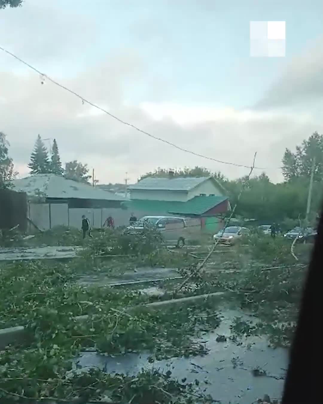 Поваленные деревья и оборванные провода: на Новосибирск обрушился ураган -  25 августа 2023 - НГС.ру