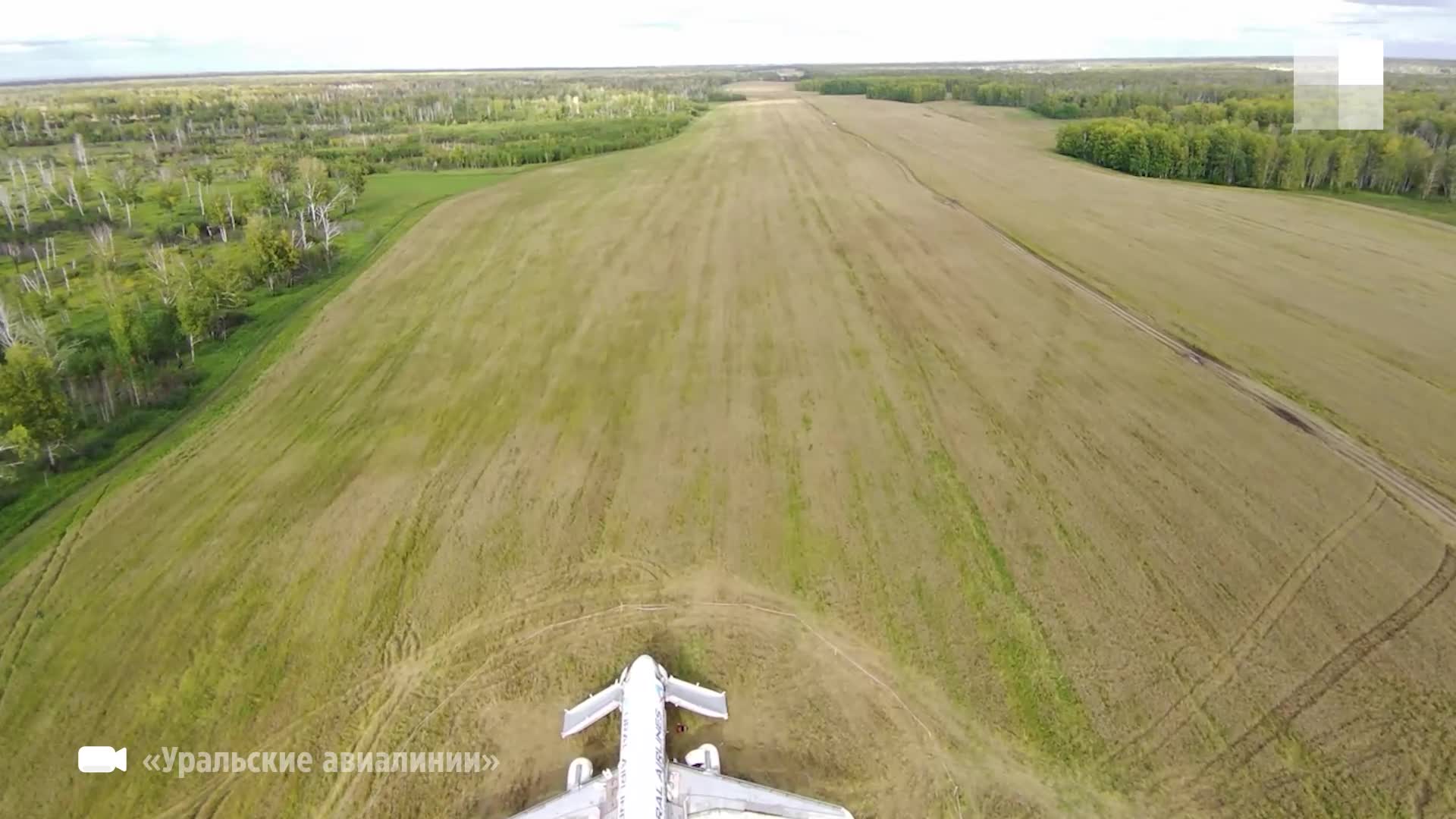 Посмотрите, как выглядит пшеничное поле под Новосибирском, куда сел борт  «Уральских авиалиний» - 14 сентября 2023 - Е1.ру