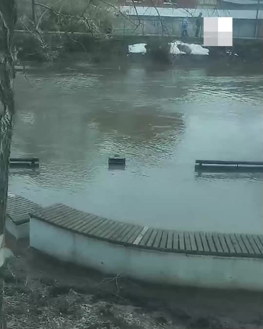 В Стерлитамаке ушла под воду новая набережная реки Стерли — видео - 6  апреля 2024 - УФА1.ру