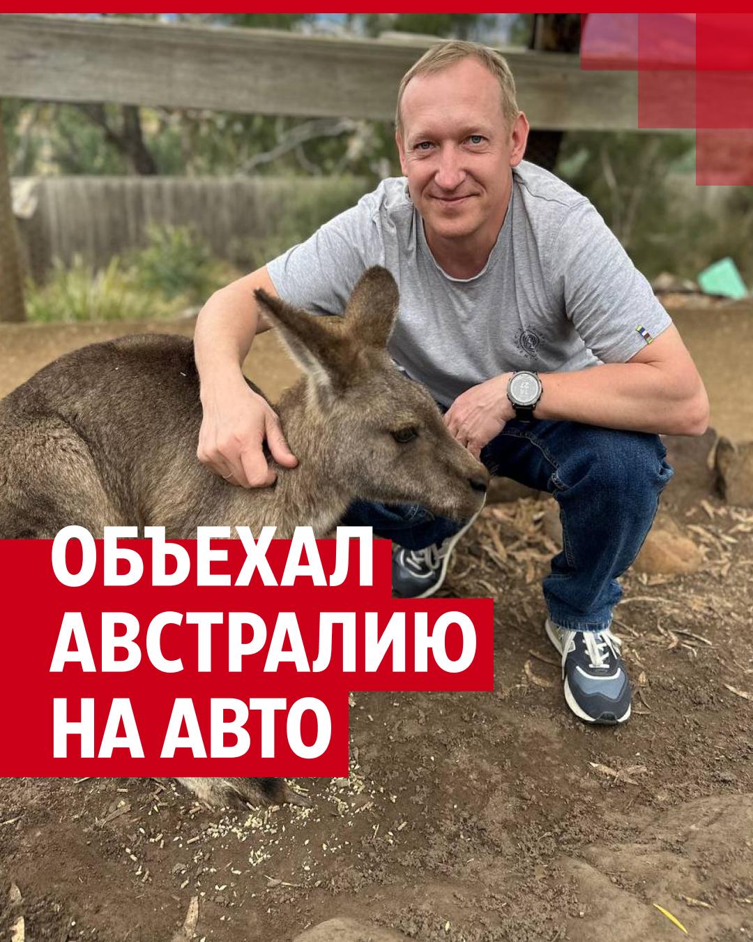 Кенгуру: трекс, секс, спинифекс Кенгуру: трекс, секс, спинифекс