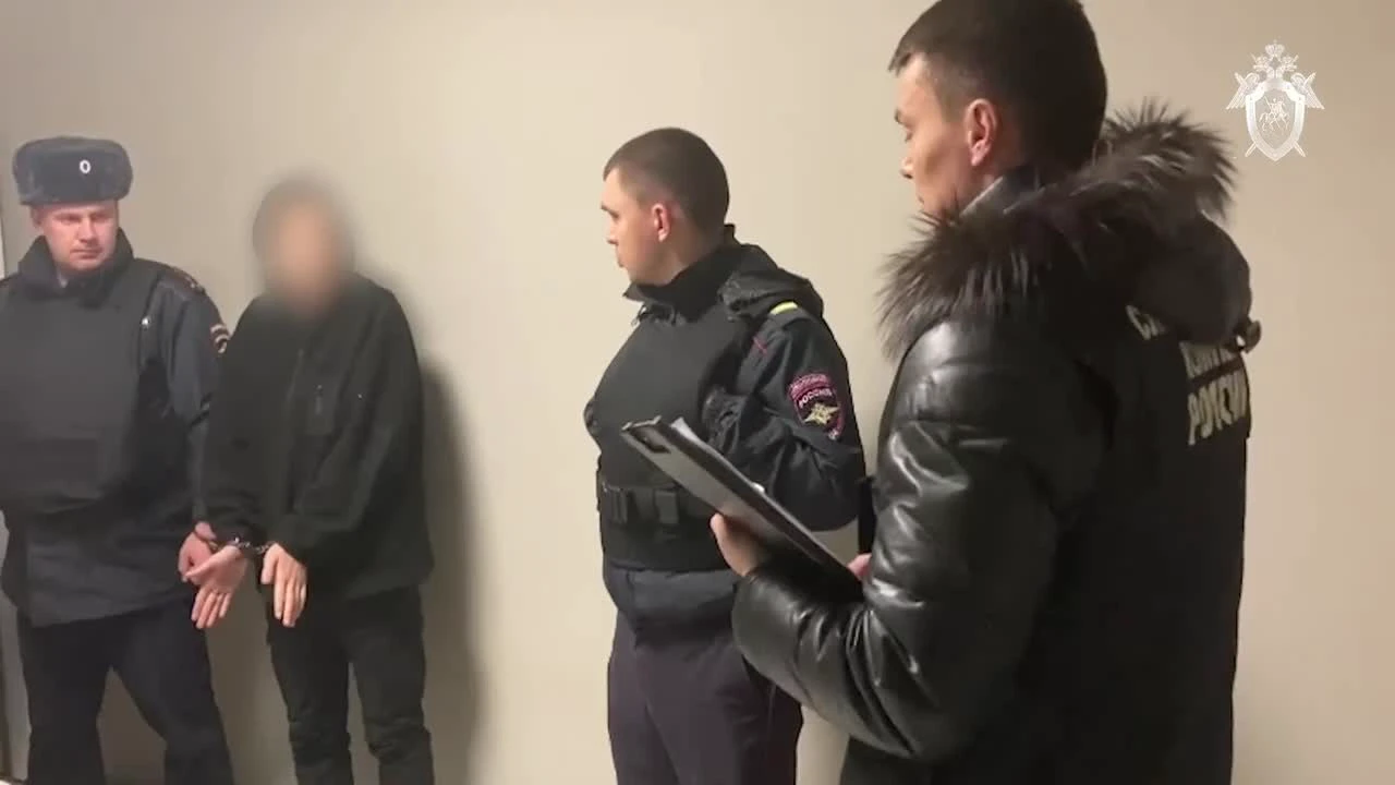 Убийство в Балашихе, где 14-летняя дочь вместе с друзьями задушила свою  38-летнюю мать из Волгограда, подробности, что известно об убийстве в  Подмосковье - 31 марта 2023 - V1.ру