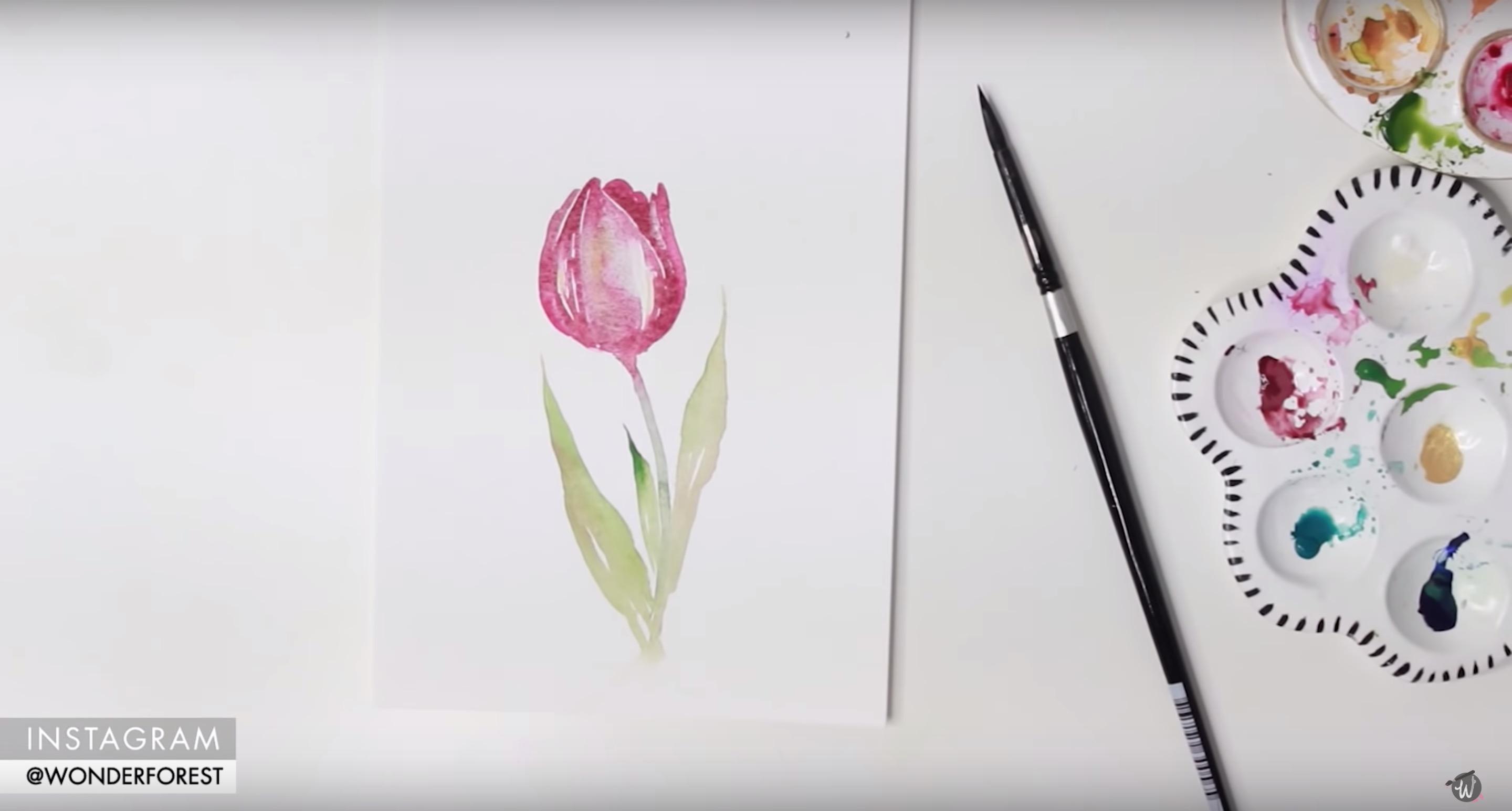 Как нарисовать тюльпаны поэтапно 11 уроков