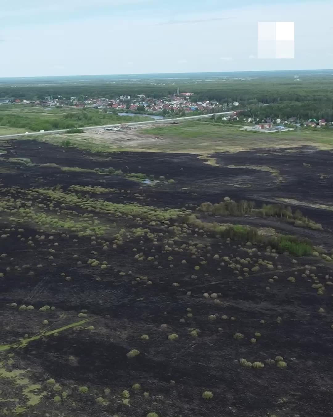 Под Тюменью сильно горело поле травы — показываем последствия на видео |  72.ру - новости Тюмени