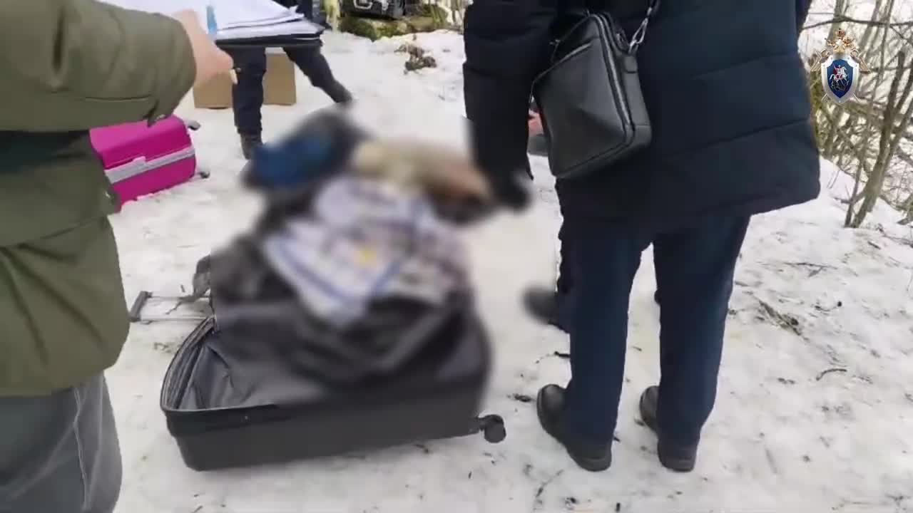 Трупы голых девушек Следствие предъявило обвинение спрятавшему труп в чемодан расчленителю из  Мурино - МК Санкт-Петербург