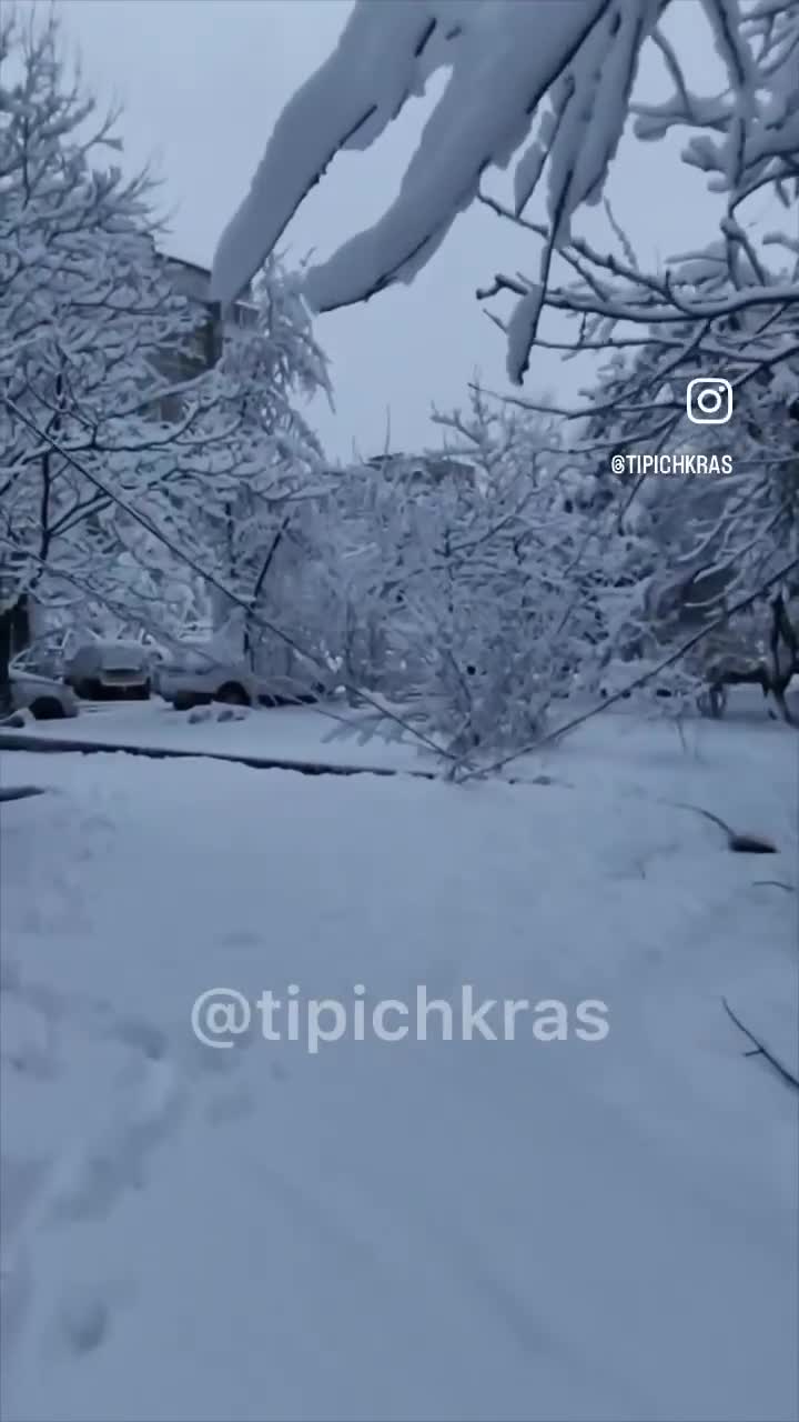 В Краснодаре выпало до 19 сантиметров снега — фото и видео - 21 января 2024  - 93.ру