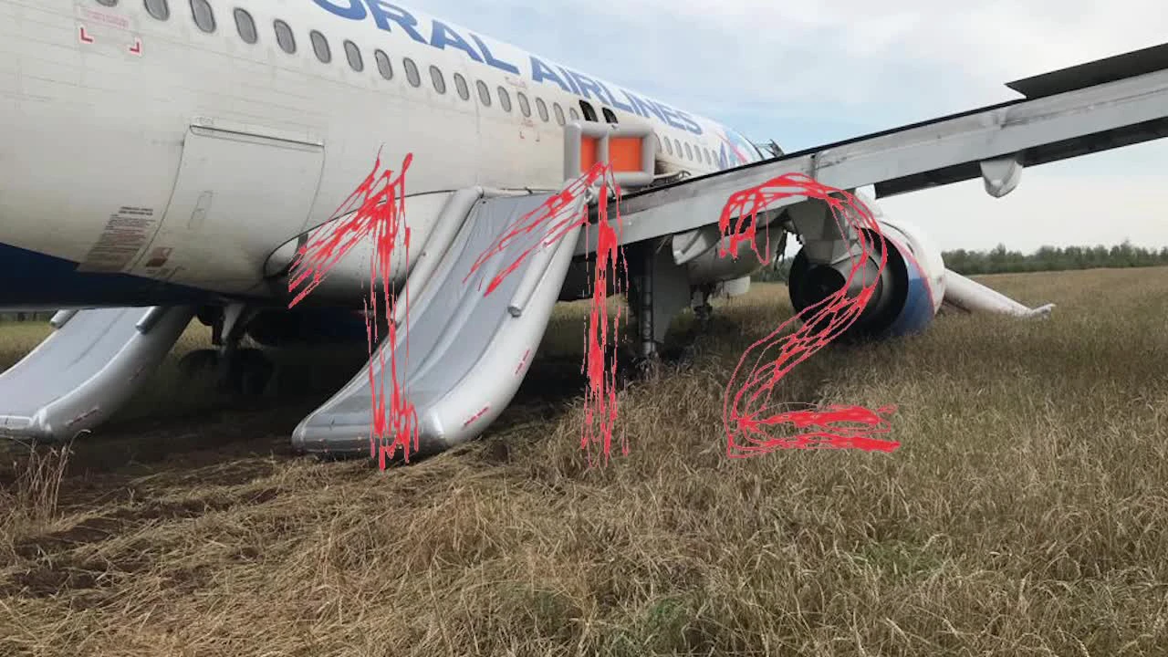 Шокирующее видео, снятое из салона падающего самолета, попало в интернет - МК