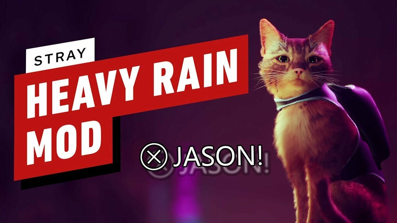 Моды для Stray: вид от первого лица, отсылка к Heavy Rain и котопёс —  Игромания