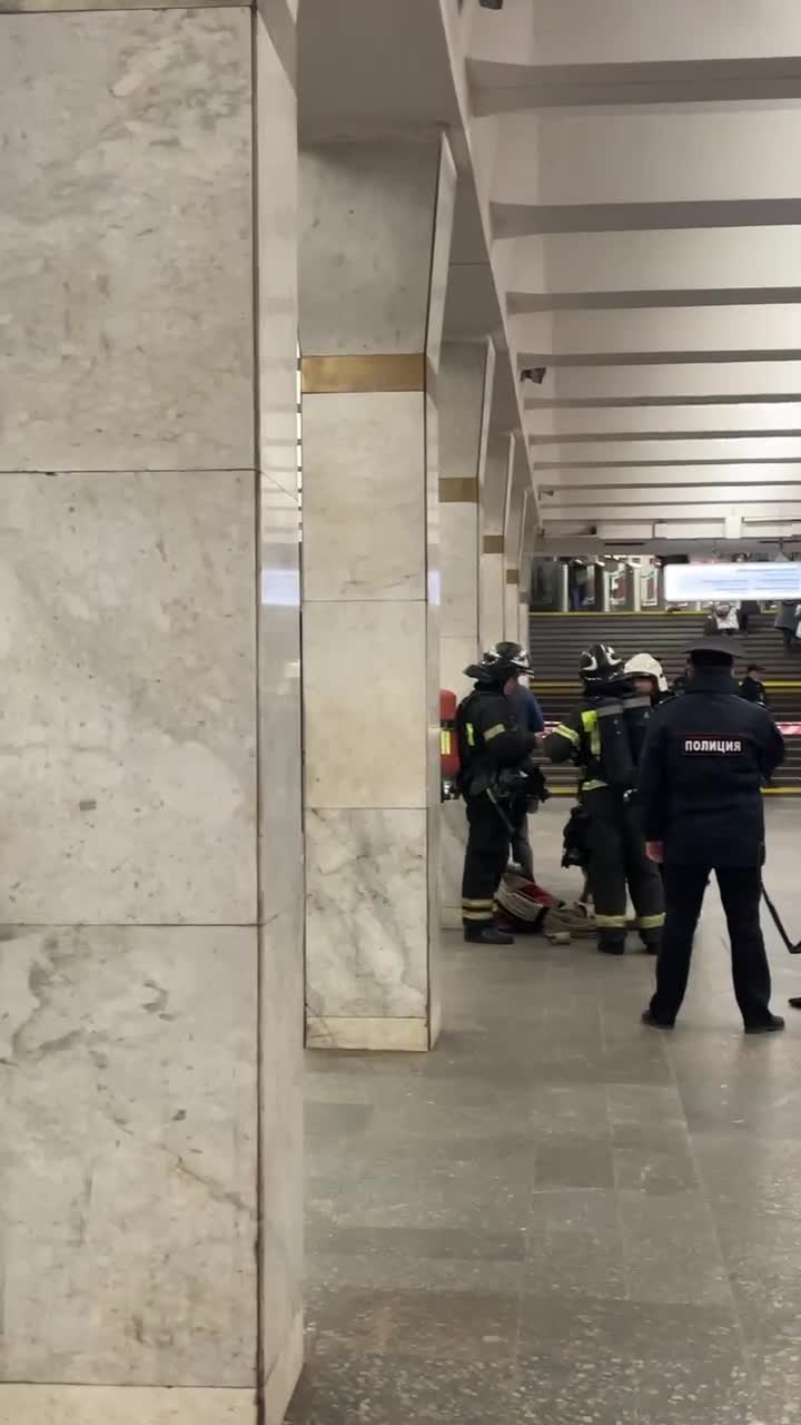 На станции «Пролетарская» фиолетовой ветки московского метро оградили часть  платформы: Таганско-Краснопресненская линия, кинологи, МЧС и полиция,  учения, фото, видео, подробности - 27 марта 2024 - МСК1.ру