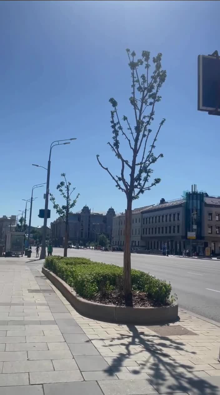 Почему не проехать в центре Москвы: перекрытия на Олимпийском проспекте,  Садовом кольце, Фрунзенской набережной, ТТК, правительственный кортеж,  визит премьер-министра Индии Нарендры Моди - 8 июля 2024 - МСК1.ру