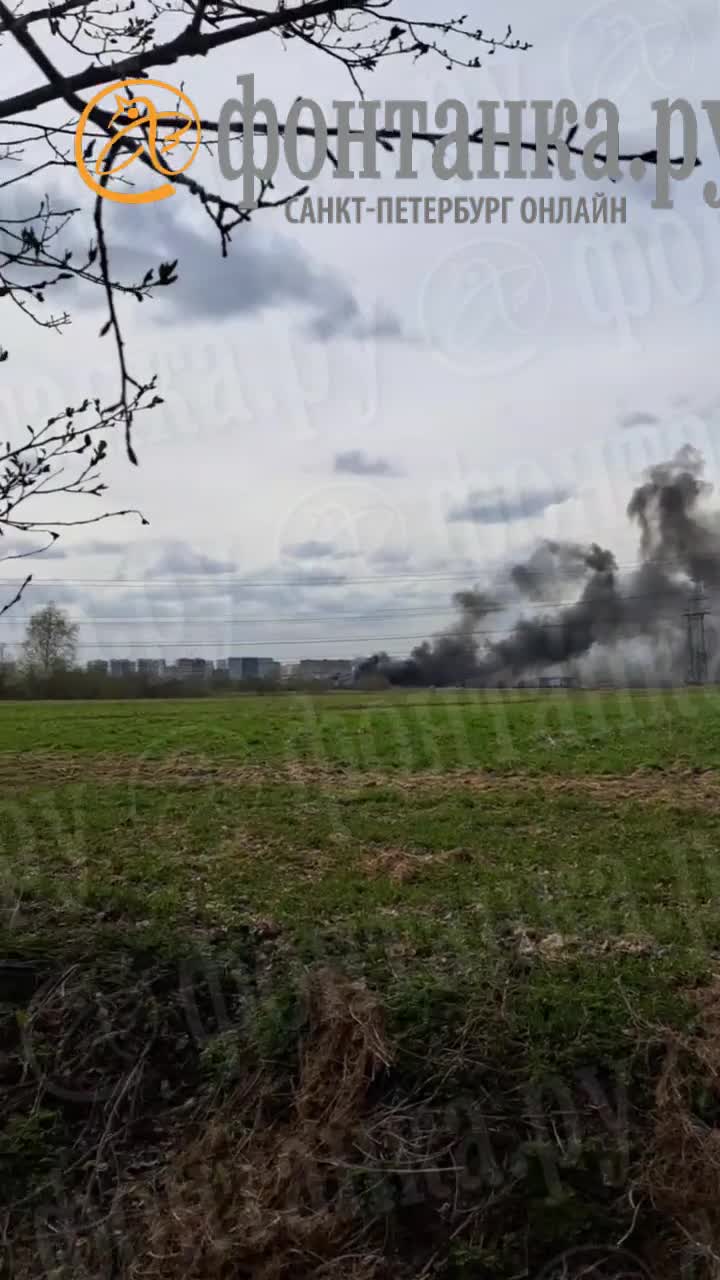 Что горит в Новосаратовке Всеволожский район Ленинградской области? - 2 мая  2023 - Фонтанка.Ру