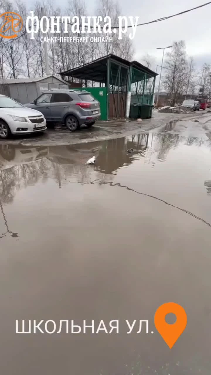 Жительница Приморского района Петербурга рассказала, как с соседями не  справилась с наледью во дворах - 25 февраля 2024 - ФОНТАНКА.ру