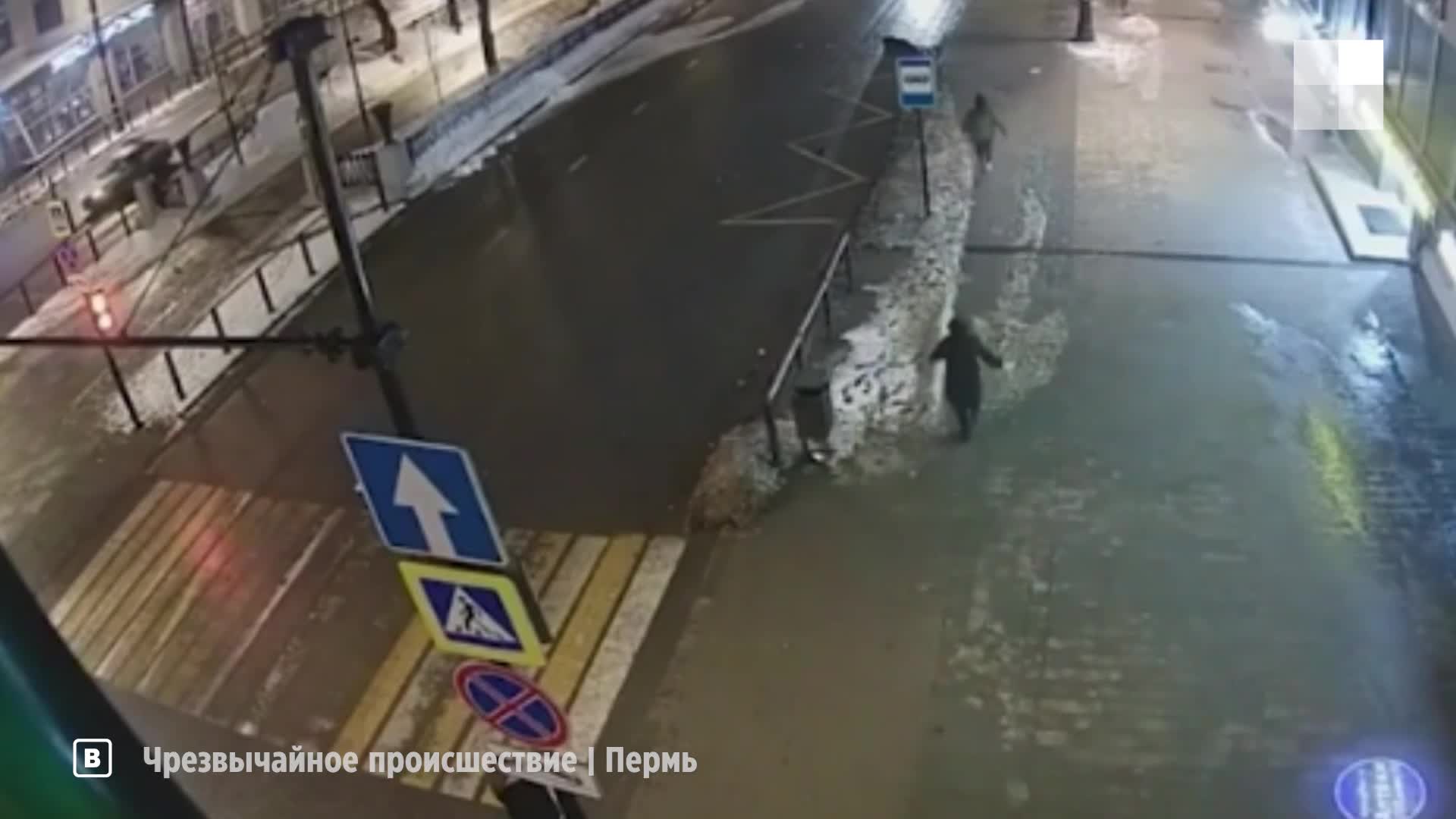 В Перми до сих пор не нашли водителя, который насмерть сбил 18-летнюю  студентку возле ЦУМа - 4 марта 2024 - 59.ру