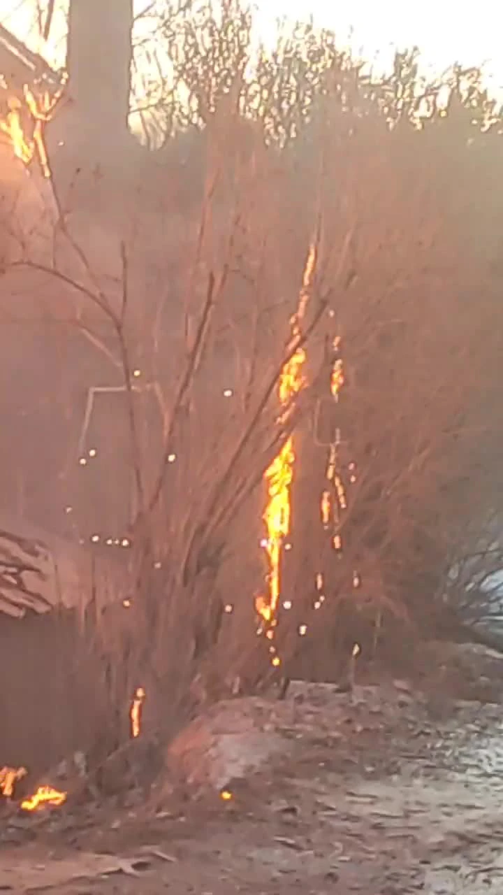 Большой дачный дом загорелся в СПК в районе Сопки в Красноярске - 8 апреля  2023 - НГС24.ру