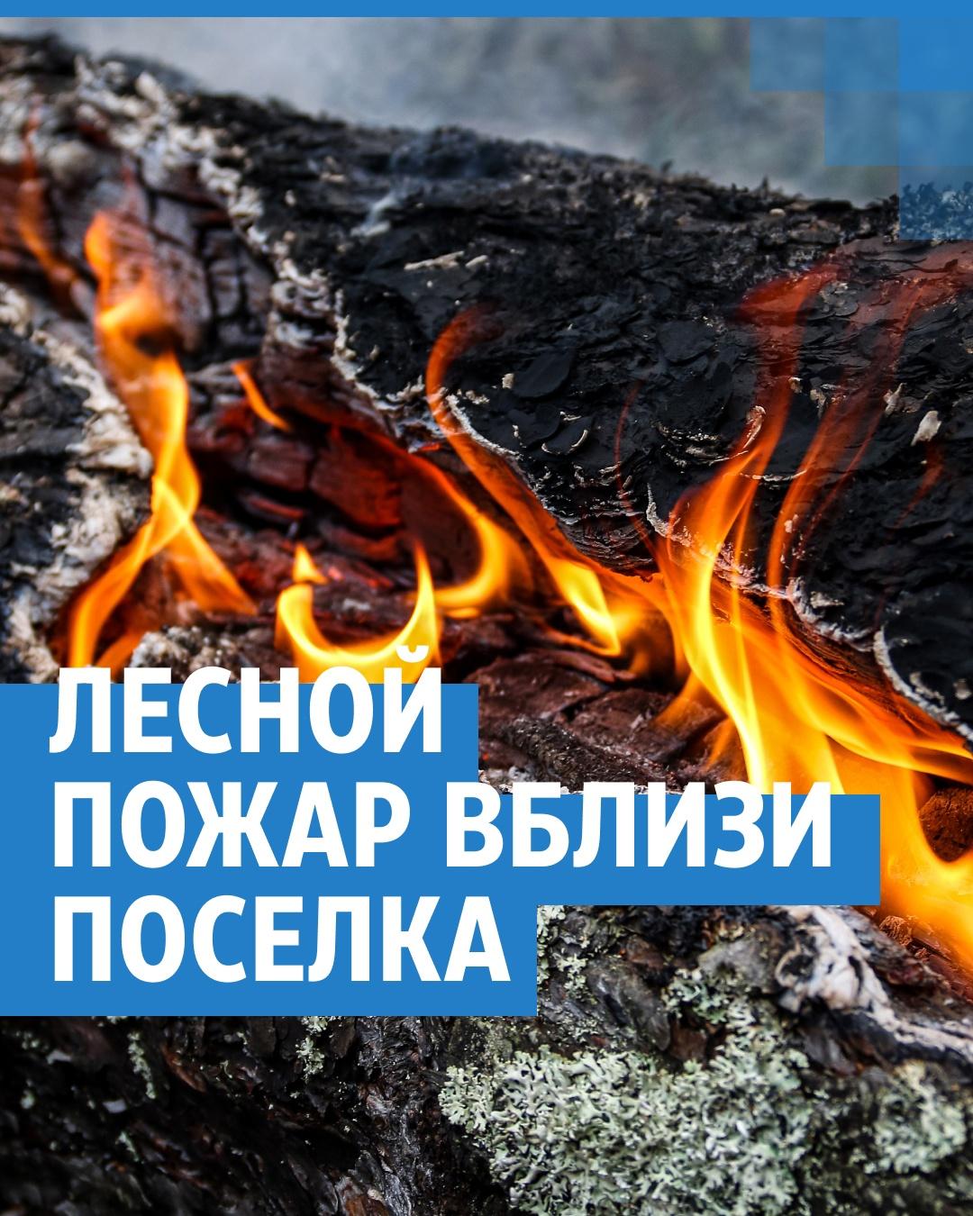 Ситуация в поселке Кузьмияр Нижегородской области из-за лесного пожара в  Воротынском районе 24 августа 2022 года - 24 августа 2022 - НН.ру