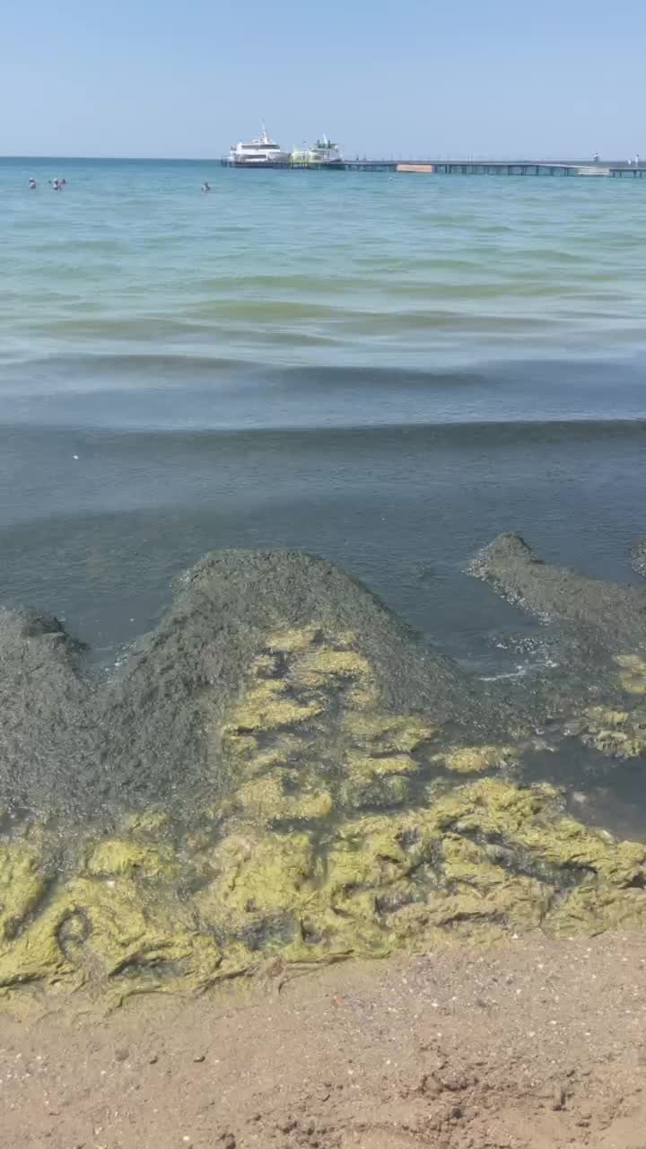 Жижа из водорослей и толпы туристов. Обстановка на пляжах Анапы, Витязево и  Джемете в начале июля — видео - 7 июля 2024 - 93.ру