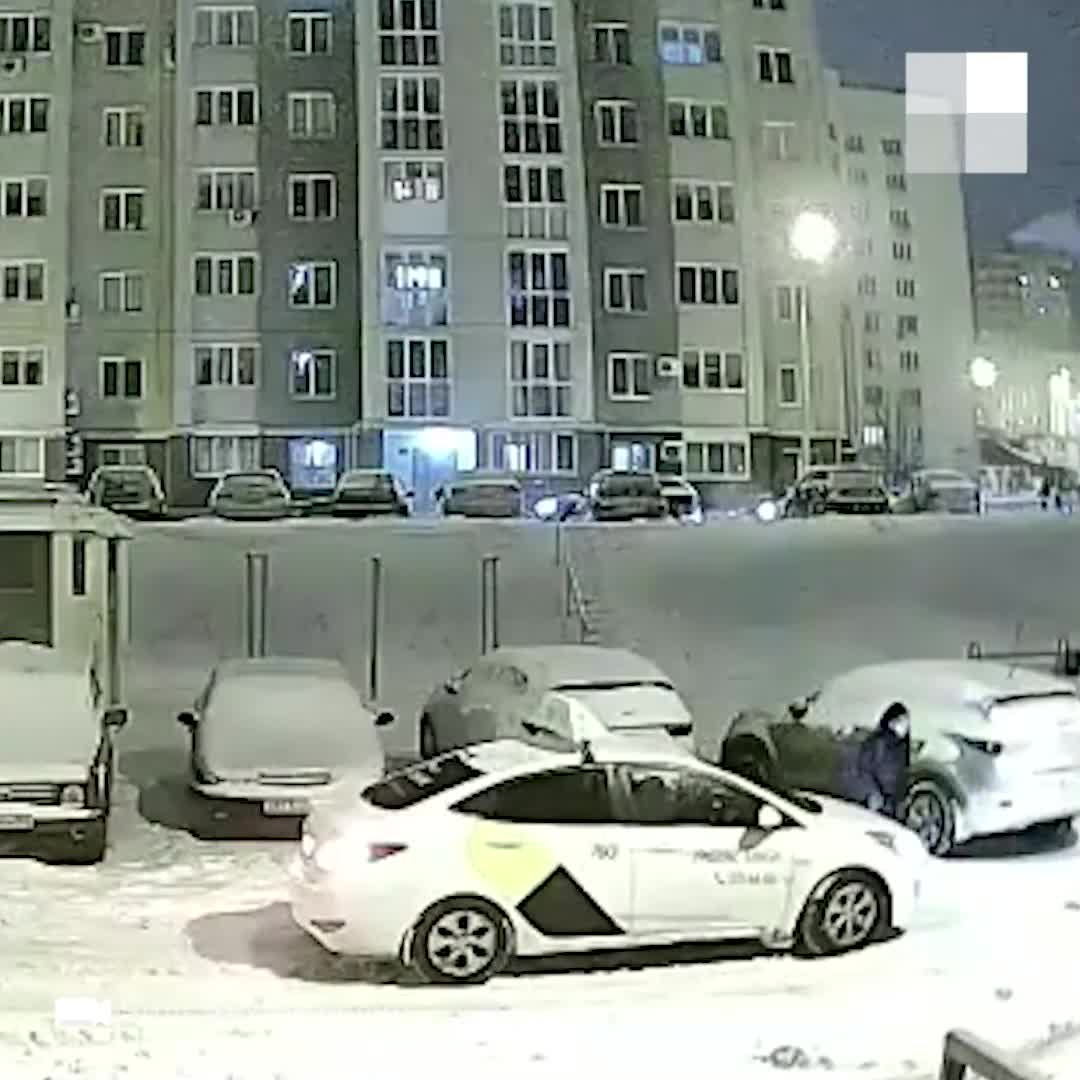 В Уфе на ребенка напала бойцовская собака. Момент попал на видео 28 декабря  2020 года - 28 декабря 2020 - УФА1.ру