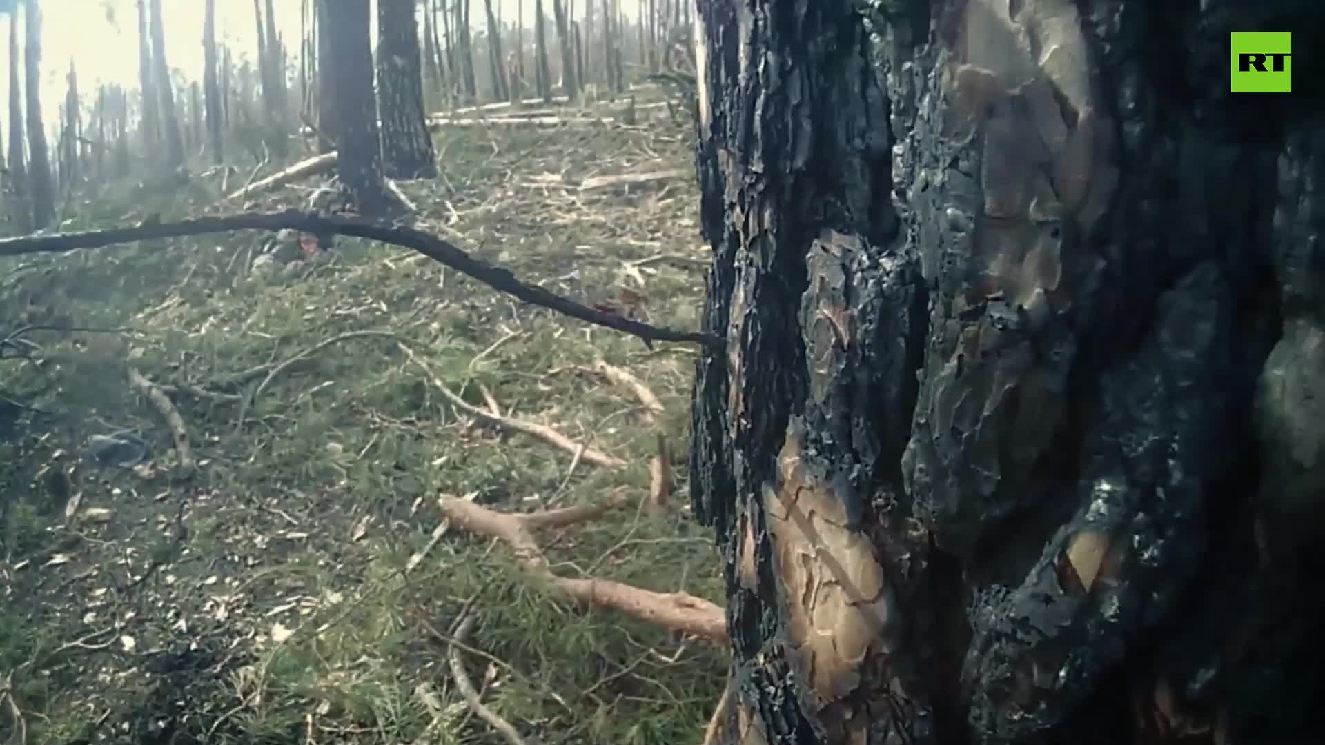 RT опубликовал видео боевого столкновения от первого лица в лесах под  Кременной — РТ на русском