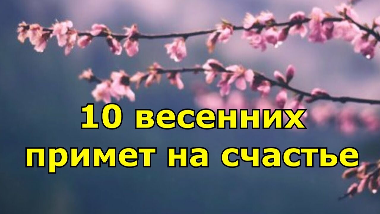 Весенние приметы на счастье / Как природа предсказывает нам удачу ::  Шоу-бизнес :: Dni.today