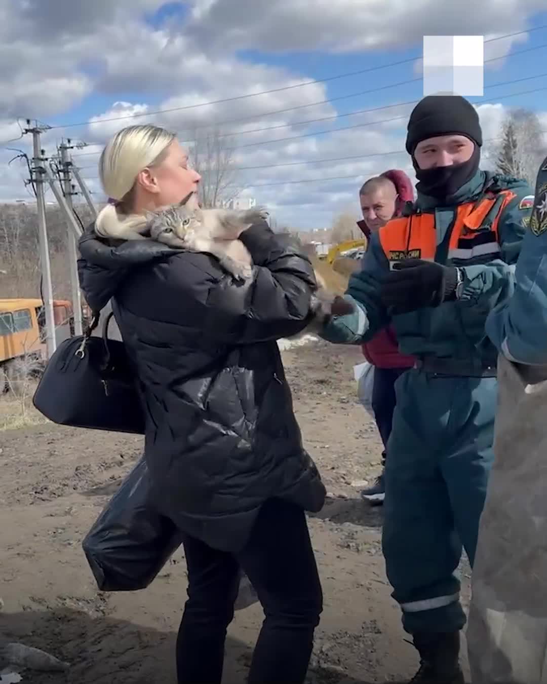 Одно из крупнейших наводнений за последние 100 лет: под угрозой затопления  Курган - 18 апреля 2024 - 72.ру