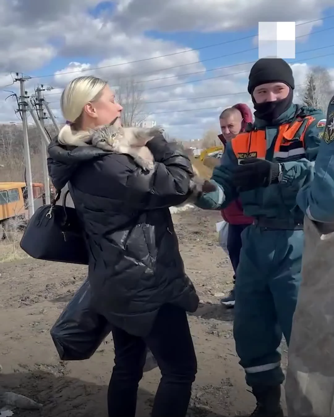 Все дома в воде: видео затопленного СНТ «Тюльпан» в Кургане - 18 апреля  2024 - 45.ру