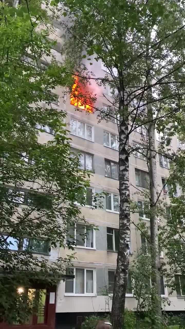 Девушки получили переломы, собака сгорела, пока пожарные не могли подъехать  к дому на Гражданском проспекте — Мегаполис