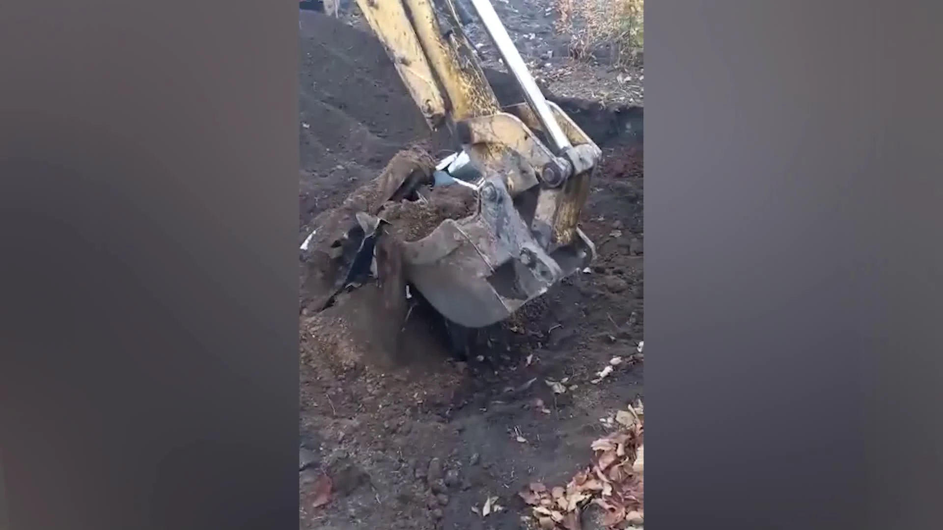 Смертельное ДТП на трассе Челябинск — Троицк в Коркинском районе: водитель  насмерть сбил пешехода, распилил и закопал машину, 19 октября 2021 г. - 19  октября 2021 - 74.ру