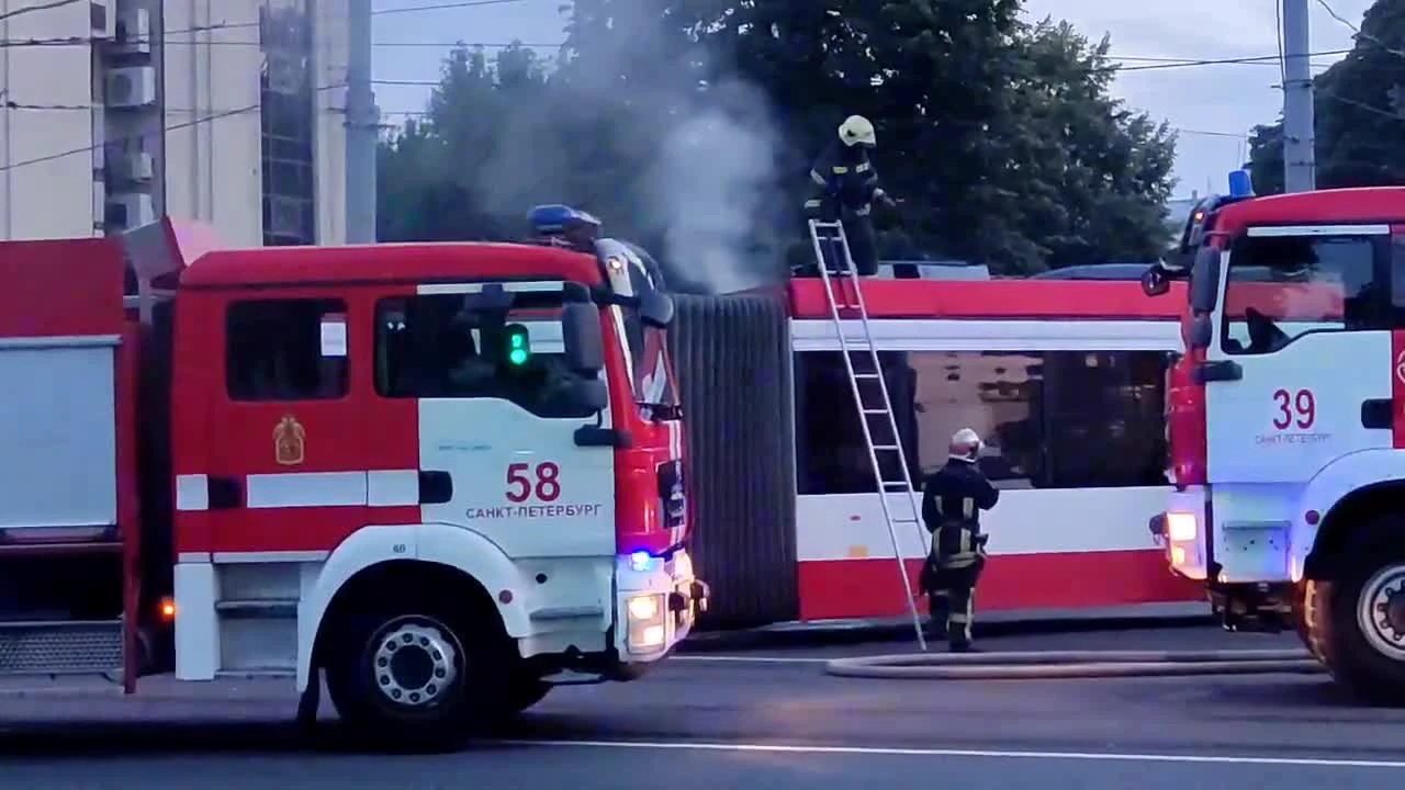 Манипулятор сбил пожилую велосипедистку и задавил 18-летнего парня под  Лугой — Мегаполис