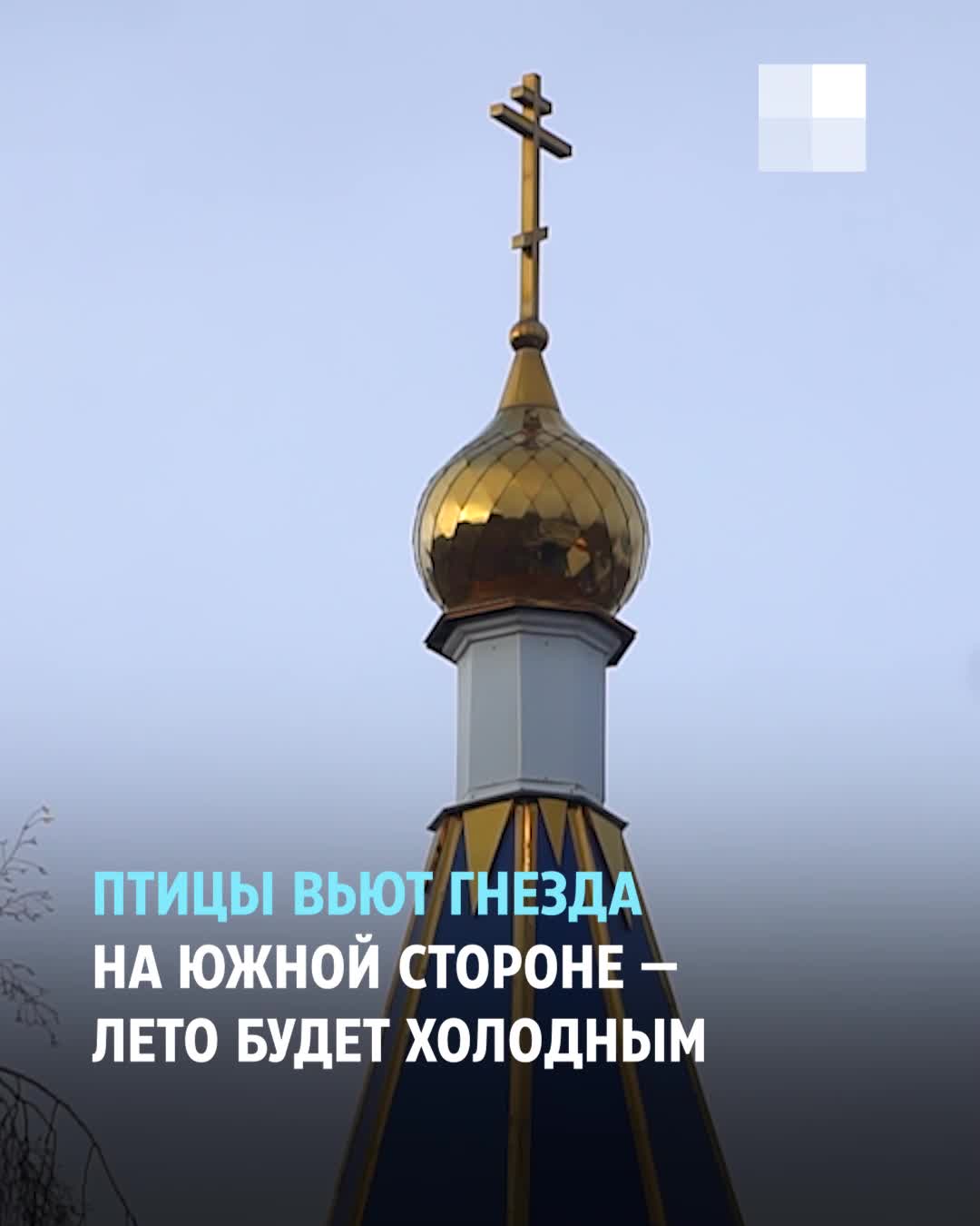 Как можно привлечь деньги в дом — народные приметы на 21 марта | 72.ру -  новости Тюмени