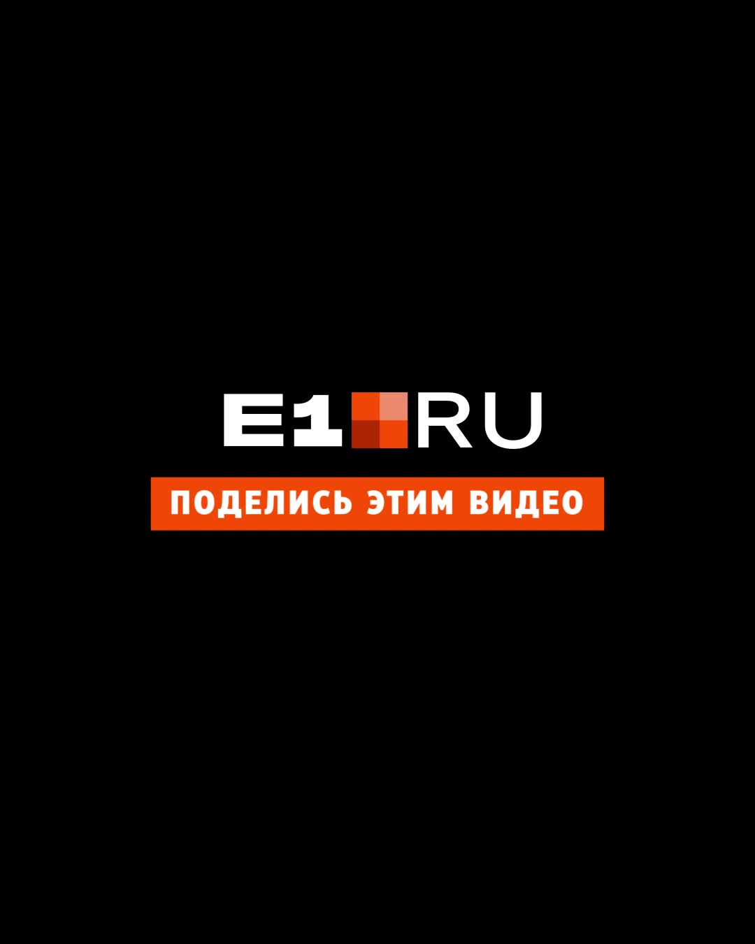 Екатеринбуржец полез спасать кошку, которая 3 дня просидела на дереве: всё  закончилось внезапно и смешно - 2 марта 2023 - Е1.ру