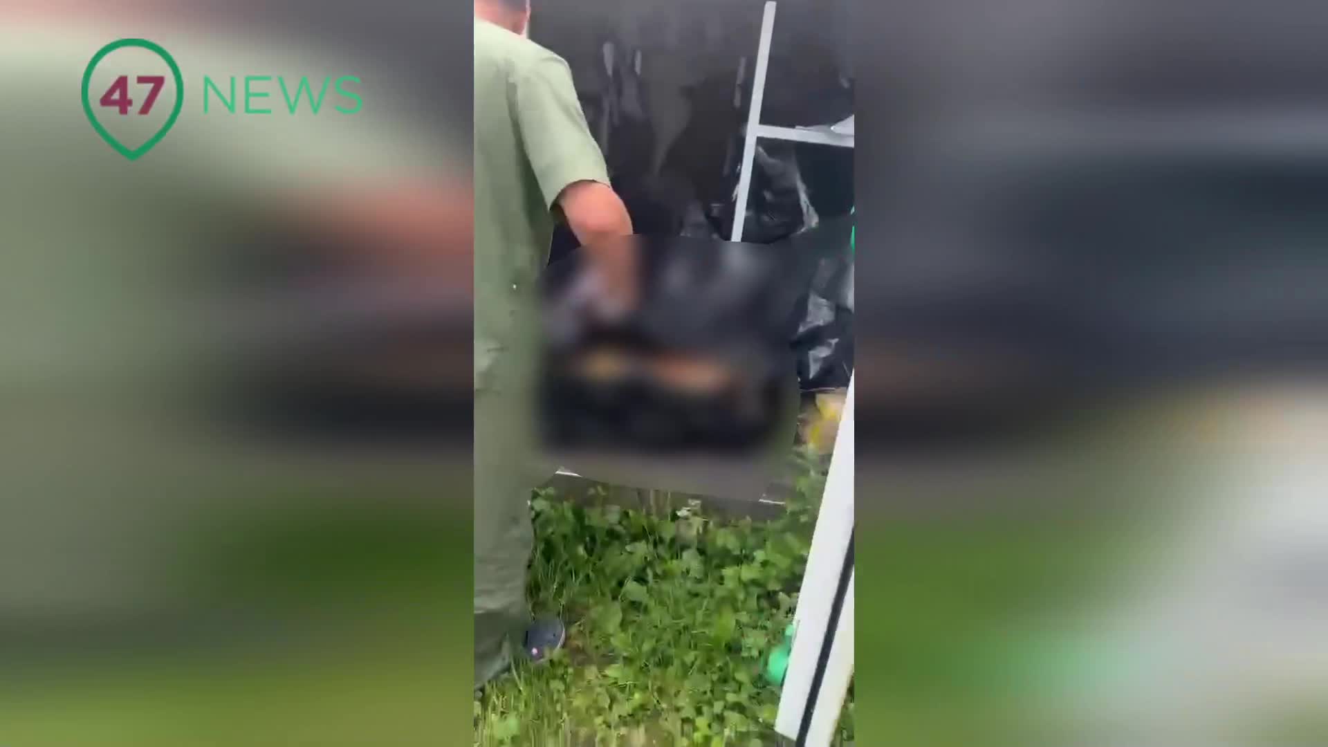 Трупы голых девушек Как в Токсово накопили 68 замороженных трупов - 21 августа 2024 -  ФОНТАНКА.ру