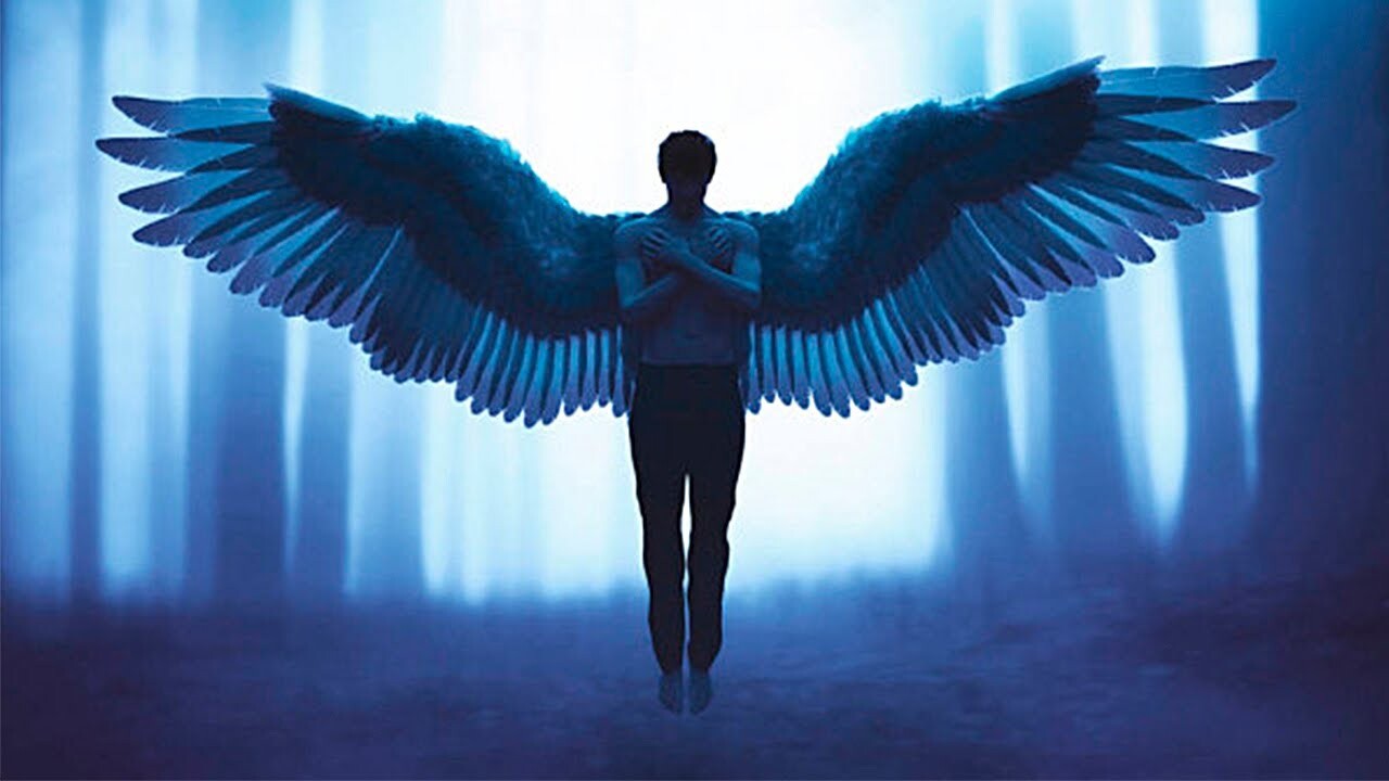 Видео: Какими по размеру должны быть крылья, чтобы человек мог взлететь