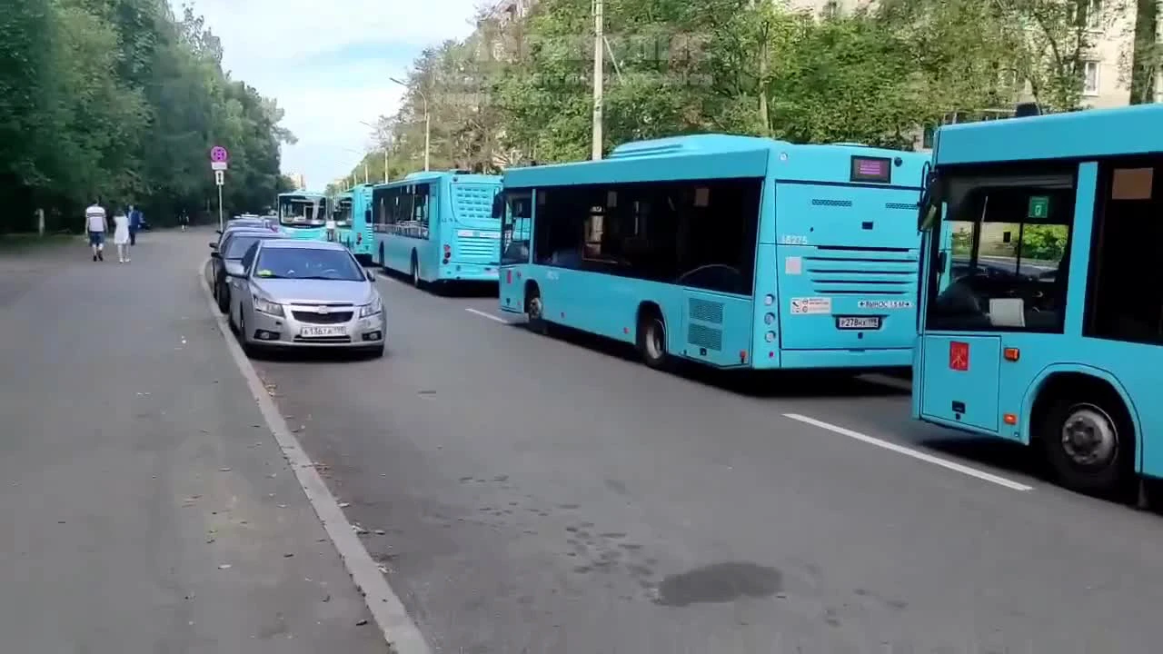 Тигрице Виоле из Ленинградского зоопарка предложили сыграть в кошки-мышки с  куском мяса — Мегаполис