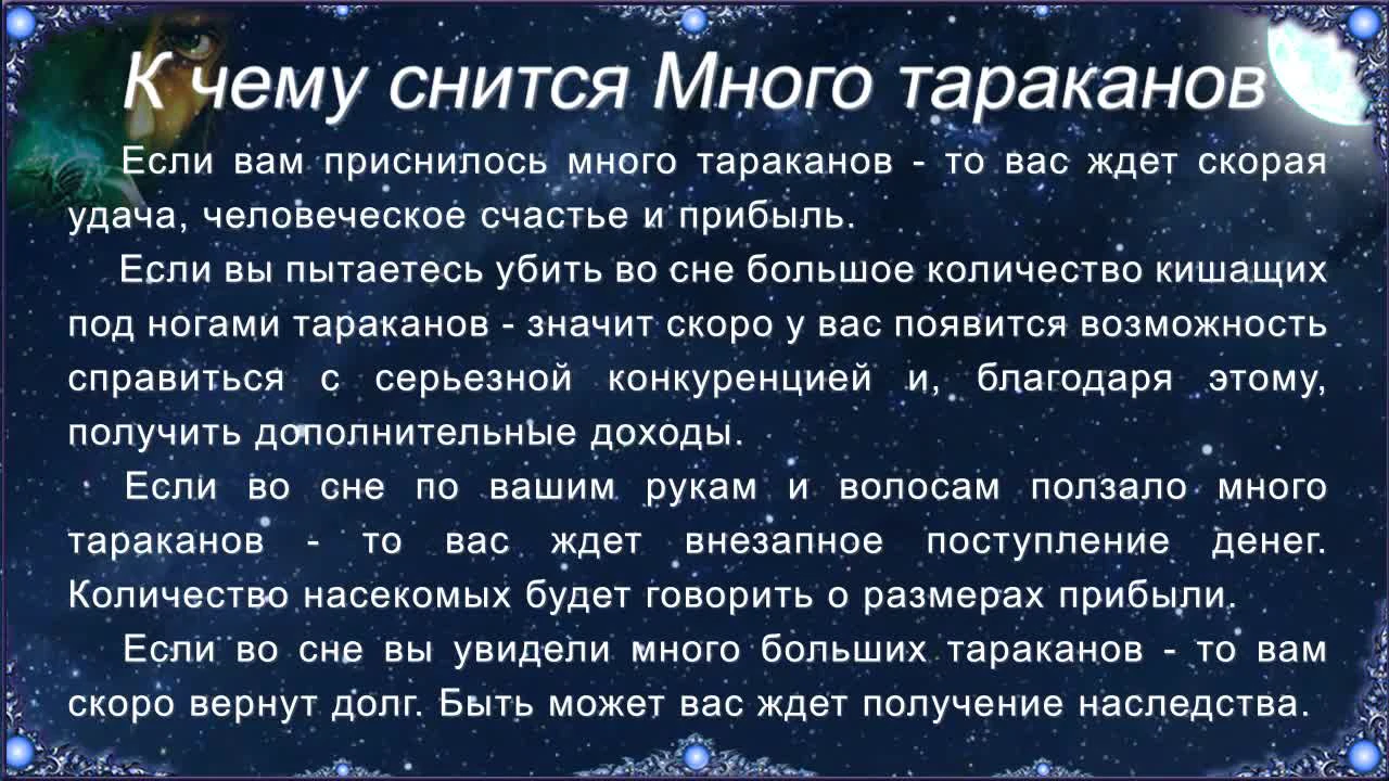 К чему снятся тараканы во сне женщине: которые бегают :: Гороскоп :: Клео.ру