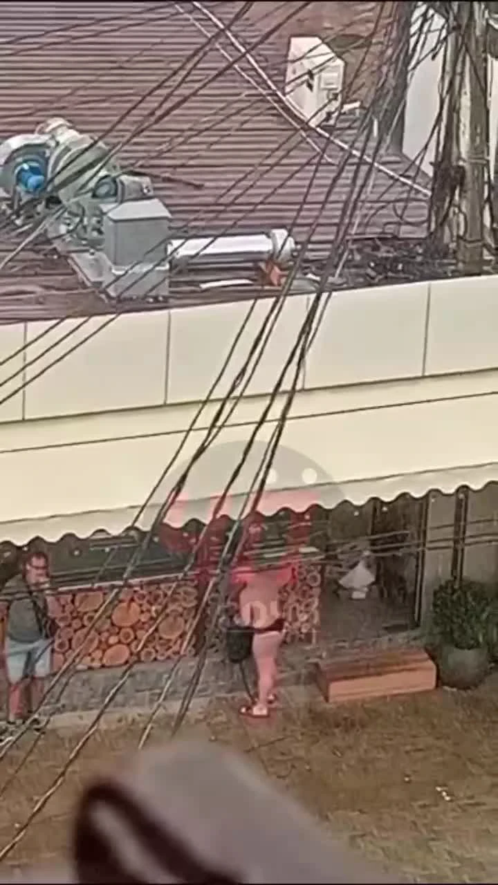 Голопопики 