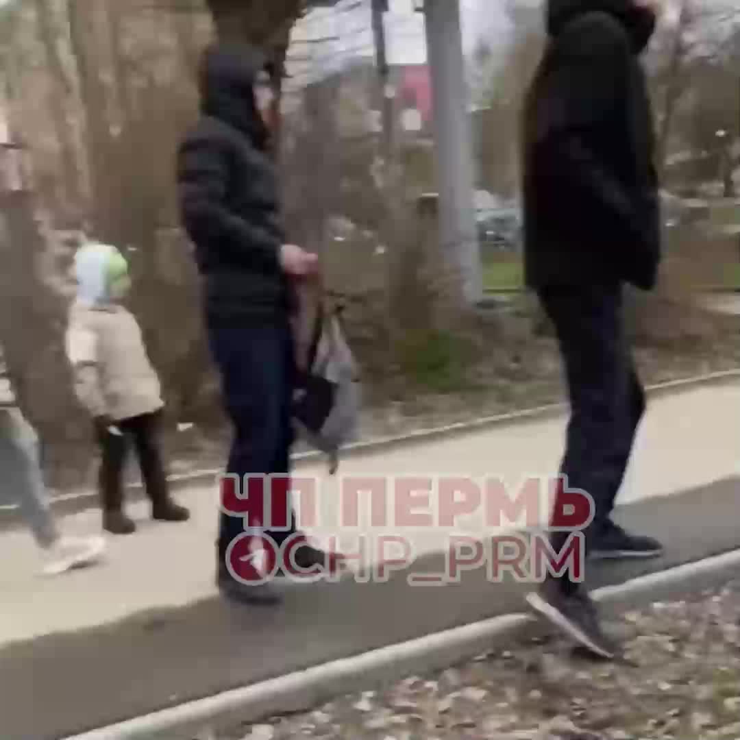 В ДТП с автобусом на Гознаке в Перми пострадали две пассажирки - 24 апреля  2024 - 59.ру