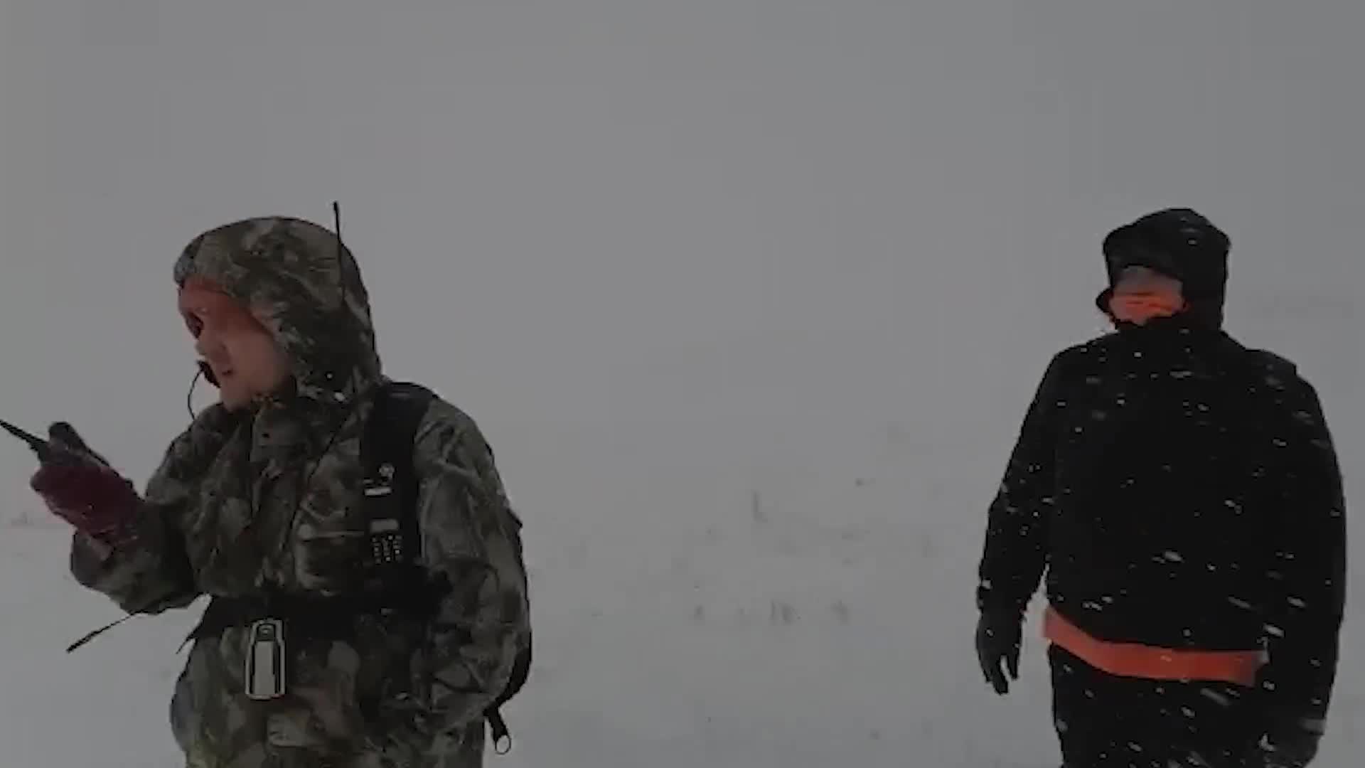 Под Волгоградом волонтеры свернули поиски без вести пропавшей школьницы -  26 января 2022 - V1.ру