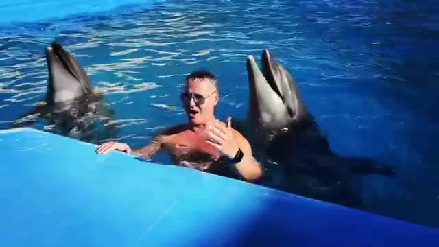 Дельфин песни видео. Дельфин любовь обложка. Дельфины из мультфильма в порту. Дельфин мп. Дельфин песни видео.