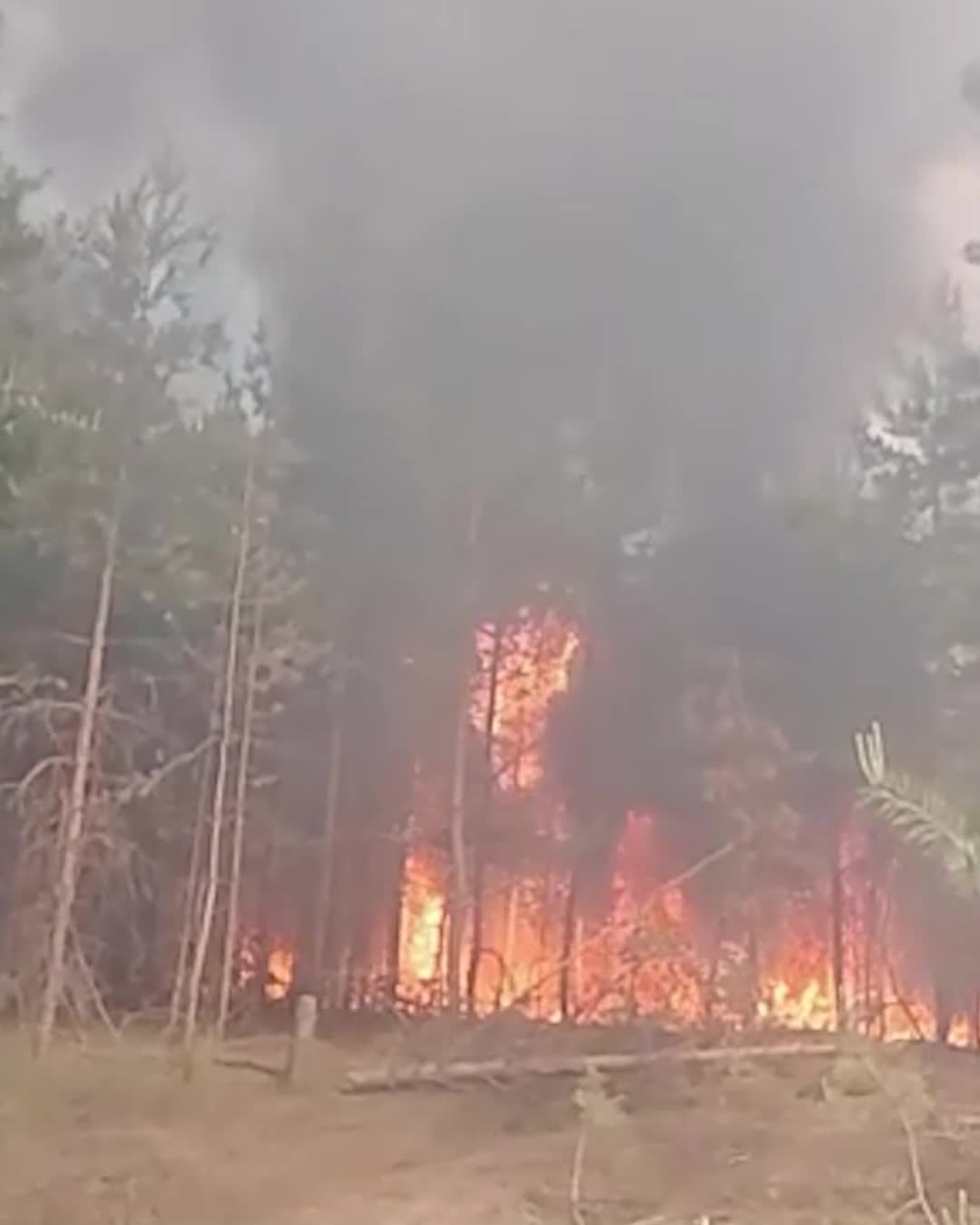 огонь в доме 2 на сегодня (99) фото