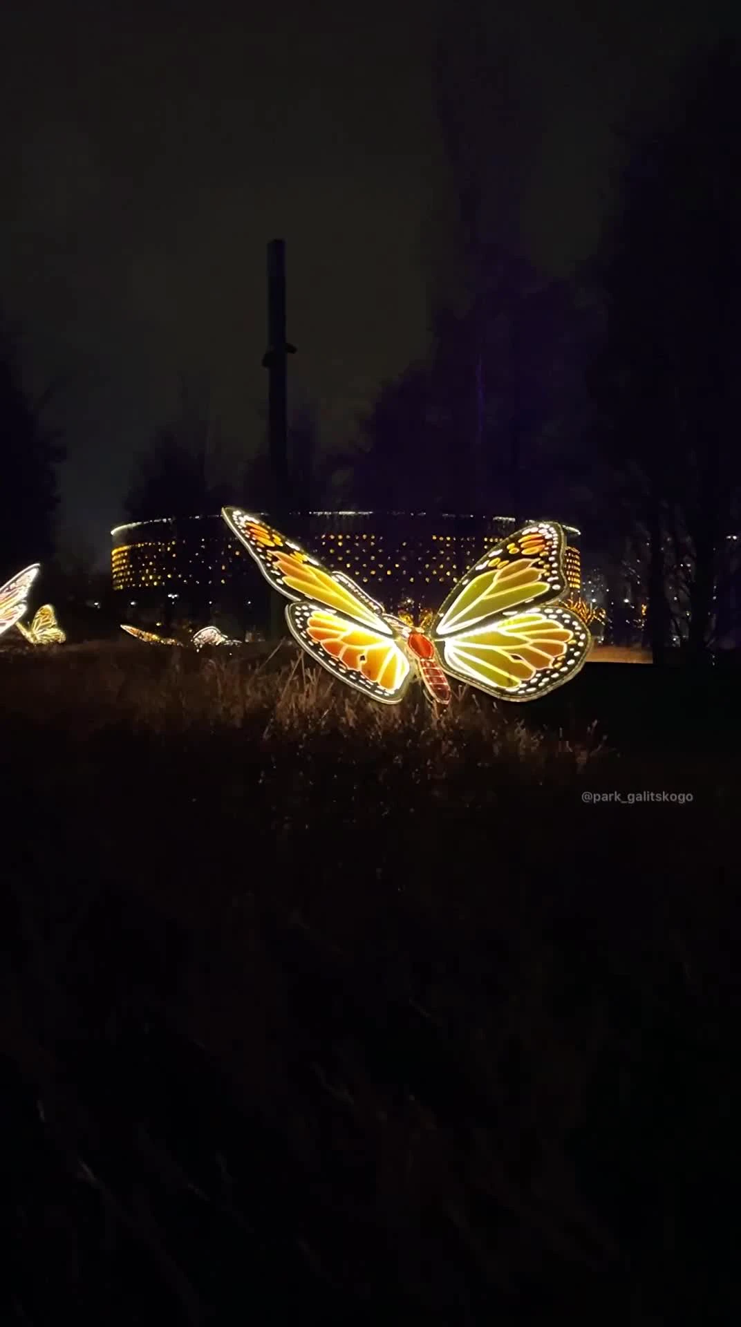Костюм бабочки к Новому году своими руками | Крылья бабочки, Бабочки, Выкройка детского платья