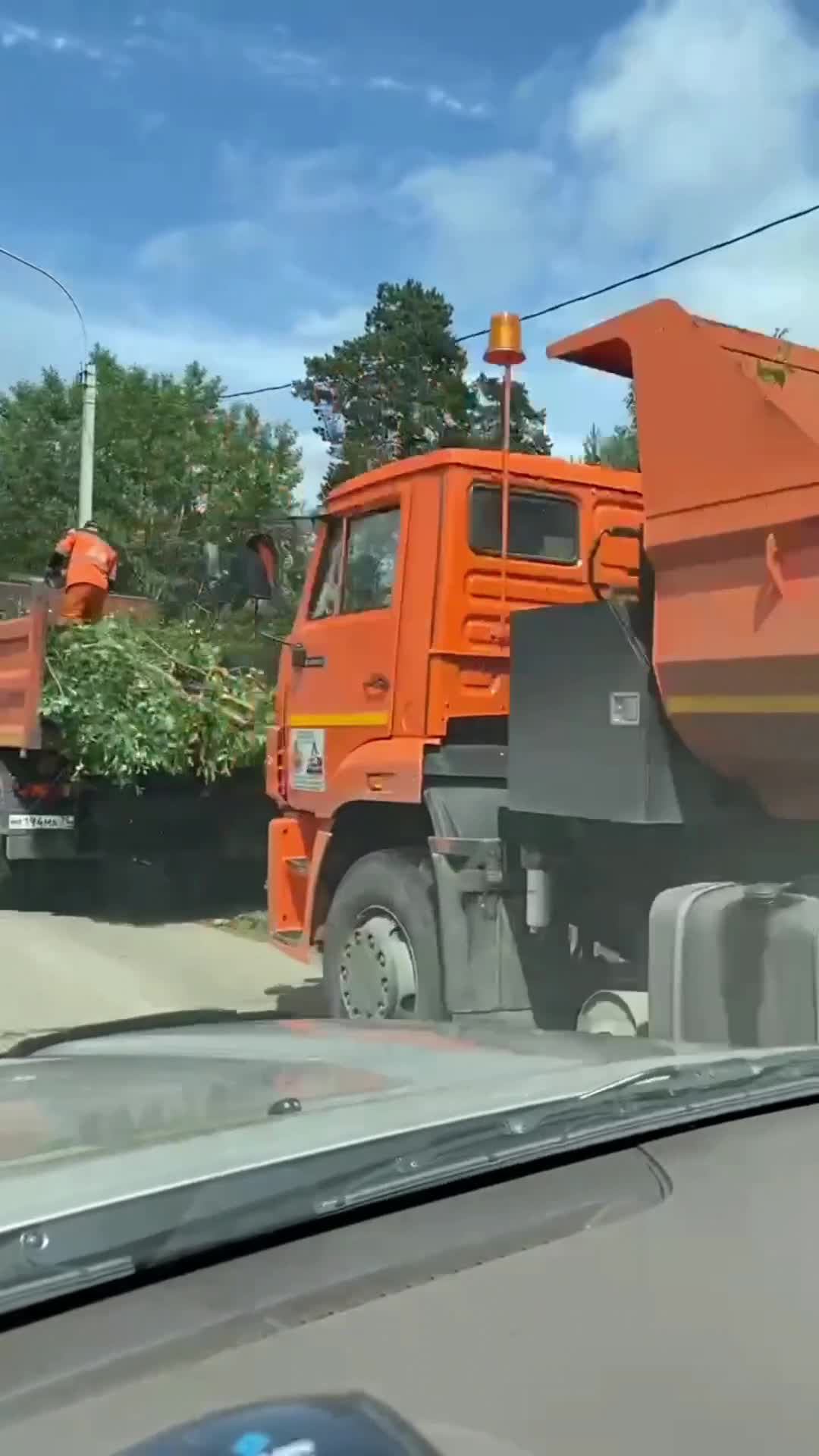 Зачем тополя вырубили на улице Казачьей в Чите - 28 июня 2023 - ЧИТА.ру