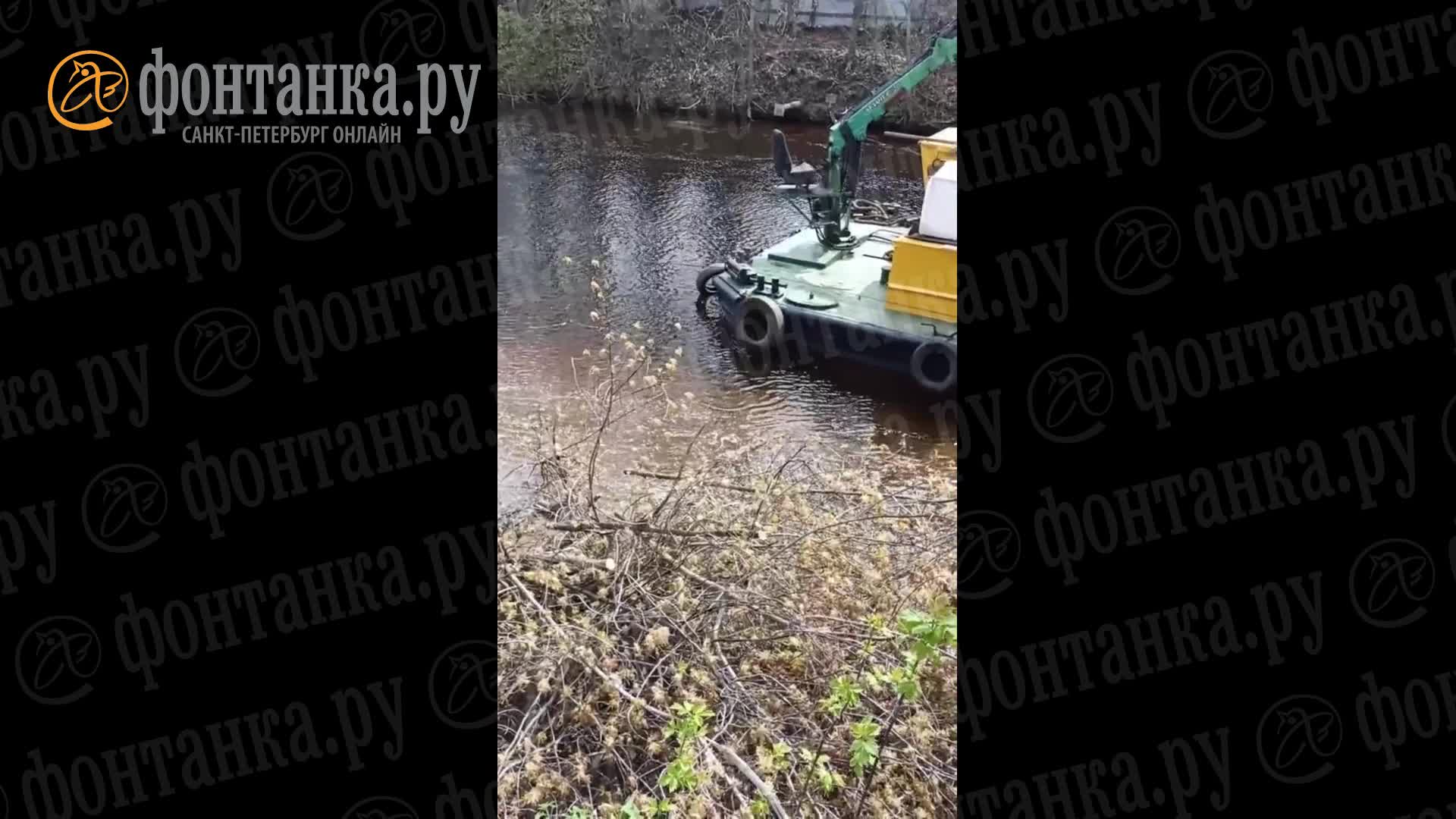 На набережной Карповки в Петербурге началась вырубка деревьев - 2 мая 2023  - ФОНТАНКА.ру