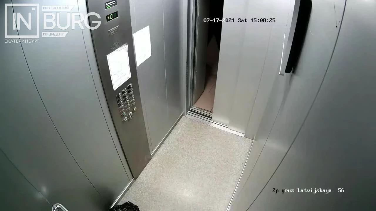 Скрытая камера сняла, что делают девушки в лифте-приколы – Видео Dailymotion
