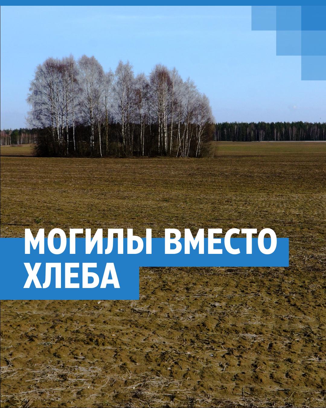 Кладбище в Ватагино Нижегородской области: жители протестуют против  захоронений около деревни - 25 апреля 2022 - НН.ру