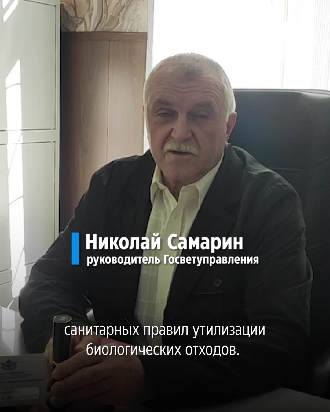 Скандал с трупами коров в овраге под Лысковом: подробности - 29 мая 2024 -  НН.ру